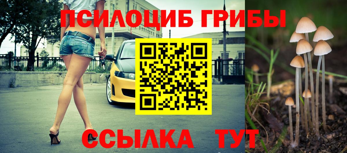 Галлюциногенные грибы Cubensis Казань