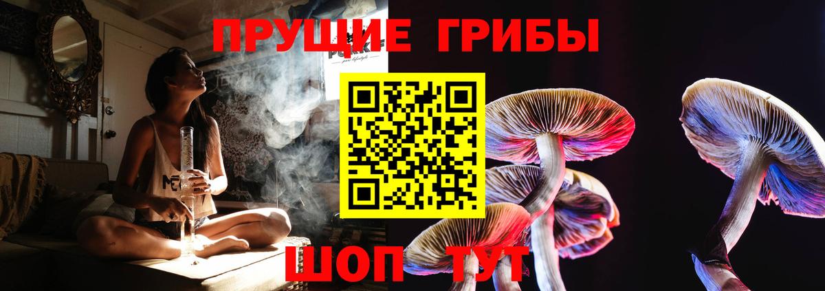 Галлюциногенные грибы прущие грибы  Галлюциногенные грибы Psilocybine cubensis  Казань  Вход с VPN 